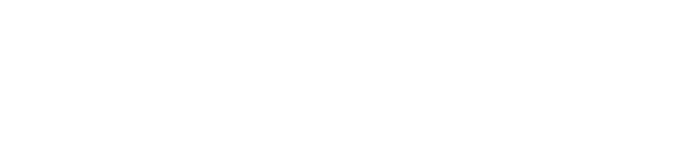 RECESS DEV
